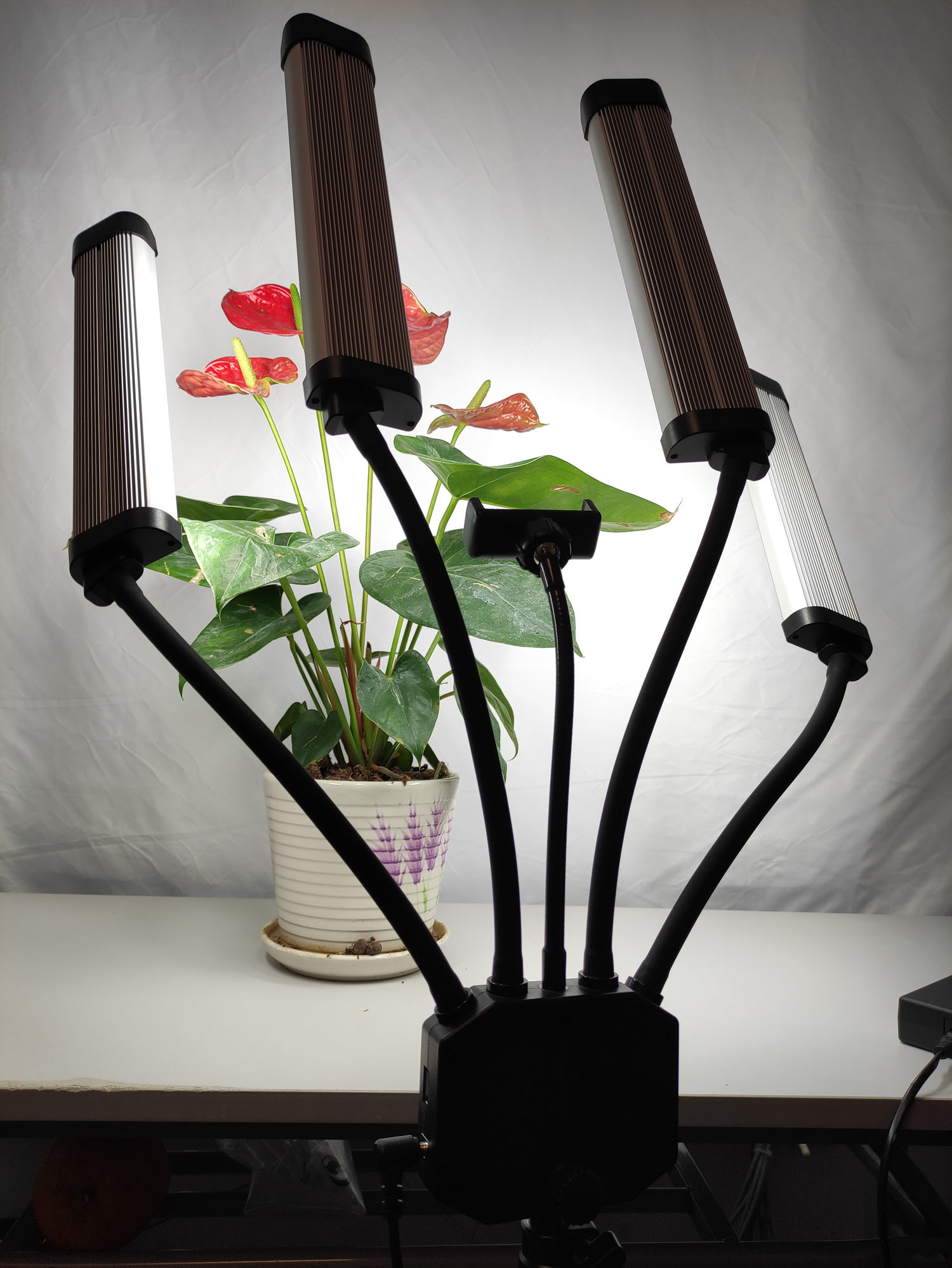 Lámpara Bicolor de 65W Profesi - Beauty Makeup Video reseña y precio